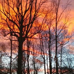 Meet your Posher, Dede